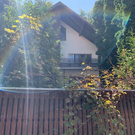 Timi Residence Brasov Exterior photo