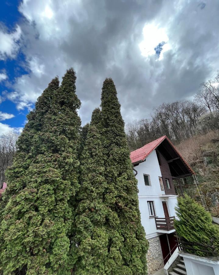 Timi Residence Brasov Exterior photo