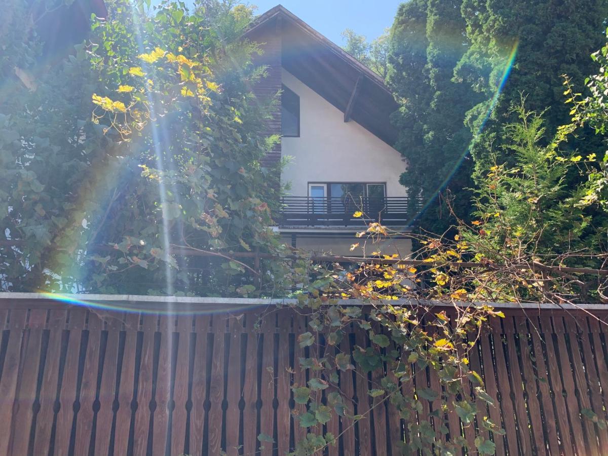 Timi Residence Brasov Exterior photo