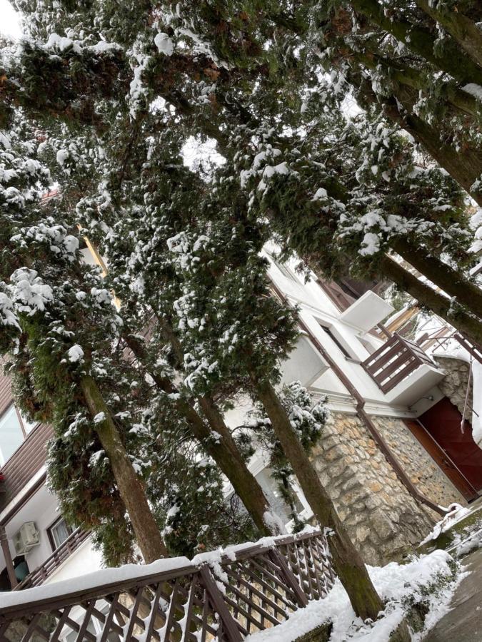 Timi Residence Brasov Exterior photo